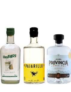 Pack Gin Santiago