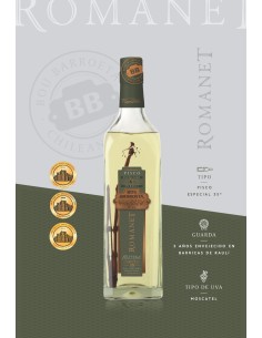 Pisco Bou Barroeta, Romanet 35º 750cc 2