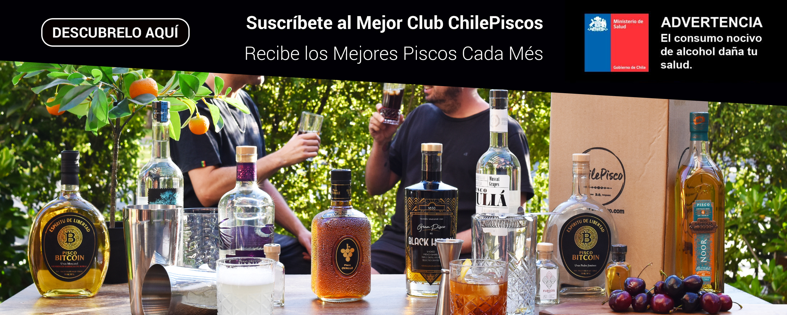 Suscripci&oacute;n
