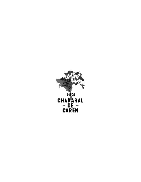 Chañaral de Caren
